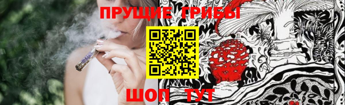 Псилоцибиновые грибы Psilocybe Борзя